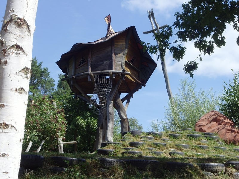 Treehouse Wedding